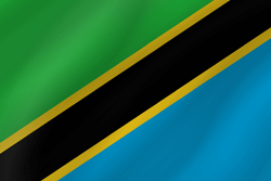 flag wave 250