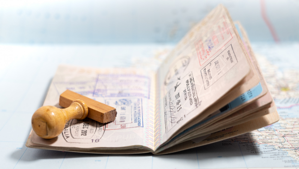 passport pages with lot visa stamps